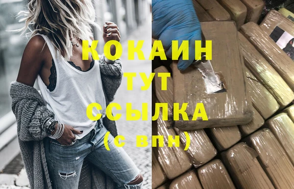 дживик Осинники