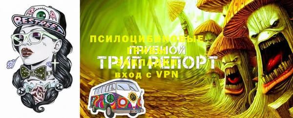 МДПВ Белокуриха