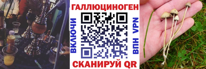 Псилоцибиновые грибы Cubensis  где купить наркоту  Кувандык 